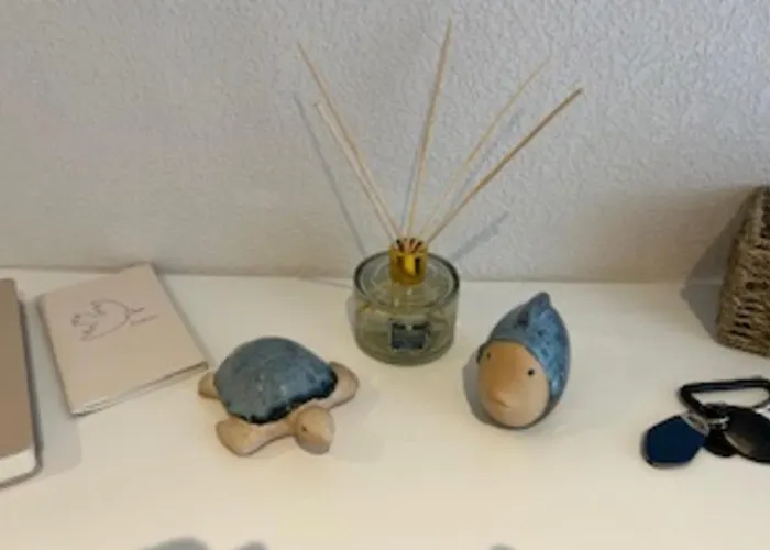 Charming With 2 Balconies Antibes